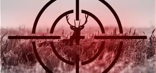 Polowanie z nagonką