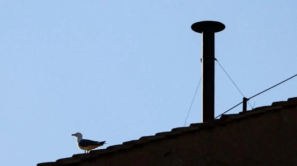 photo_1746645421
