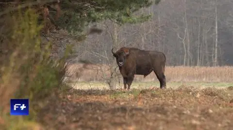 Wydanie z 16.12.2025