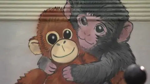 "Jest afera o małpkę". Znanemu poznańskiemu artyście grozi więzienie