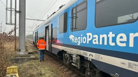 Zderzenie pociągów w Czechach. Znana jest możliwa przyczyna