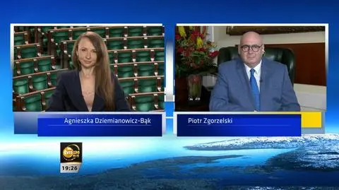 Agnieszka Dziemianowicz-Bąk, Piotr Zgorzelski, Janusz Czapiński