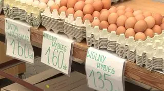 Oglądaj dłuższe "Fakty" w TVN24+