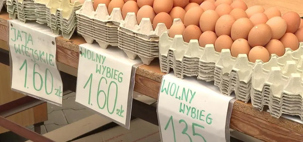 Oglądaj dłuższe "Fakty" w TVN24+