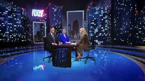 Katarzyna Lubnauer, Marcin Horała