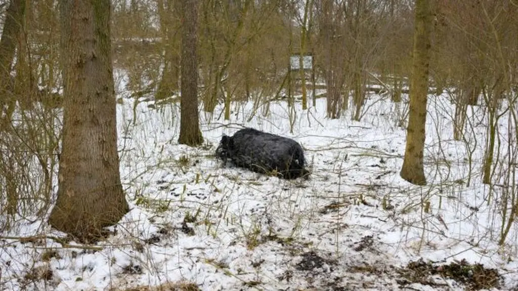 photo_1744933098