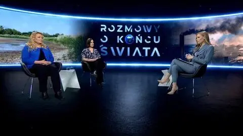 Mają różne motywacje, ale wspólny cel. Kim są strażnicy klimatu?