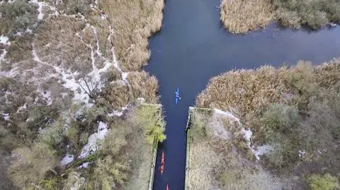 Kręta droga do parku