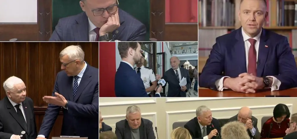 Jak każda choinka potrzebuje lampek, tak każdy Sejm potrzebuje gwiazd. Oto one