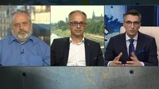 Dziki w mieście. "Zwiększenie polowań da tylko krótkotrwały efekt"