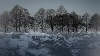 Historia rzezi wołyńskiej, która dzieli