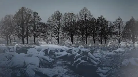 Dialog - Wołyń