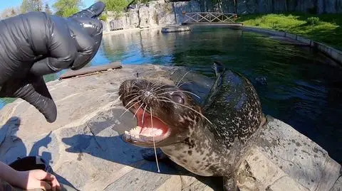 "W zoo nigdy nie można się nudzić. Każda chwila jest inna"