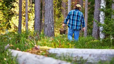 Każde ukąszenie może się skończyć chorobą. "Musimy być czujni"