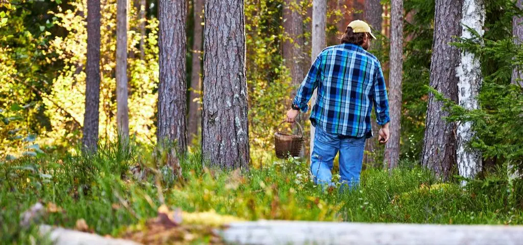 Każde ukąszenie może się skończyć chorobą. "Musimy być czujni"
