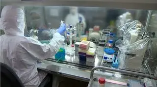 Test opracowano błyskawicznie