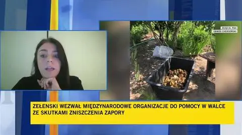 TVN24 Clean_20230608081231(13000)_aac