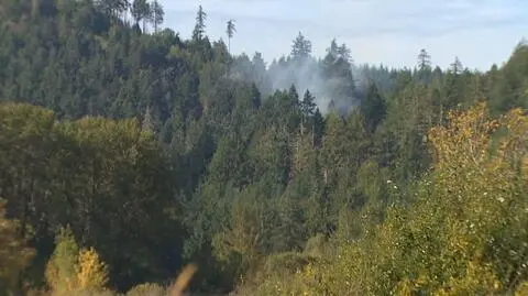 Katastrofa śmigłowca elitarnej jednostki. Nie żyje czterech żołnierzy 