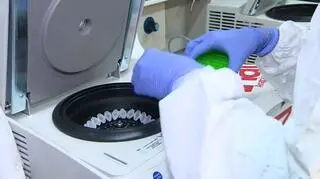 Przebadanie jednego wymazu zajmuje około 6 godzin