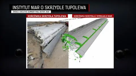 Macierewicz wiedział, że brzoza mogła przeciąć skrzydło. Dostał informacje od amerykańskich badaczy