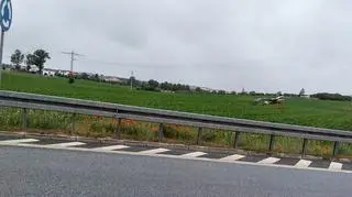Bocian odleciał na pole