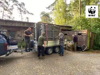 Transport odbywał się w specjalnych skrzyniach