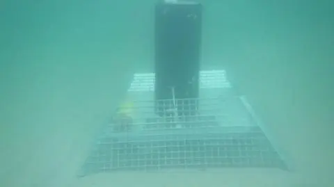 Rejestrator akustyczny z systemem kotwiczącym stojący na dnie