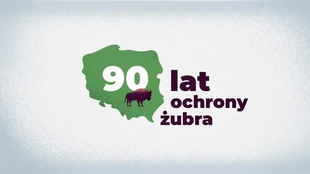 90 lat ochrony żubra
