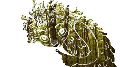 Leśnik i bushcrafter opowiada jak być w lesie "niewidzialnym"