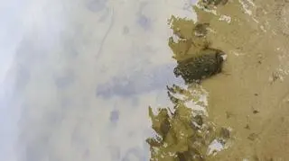 Pociski zauważył w wodzie pan Sebastian