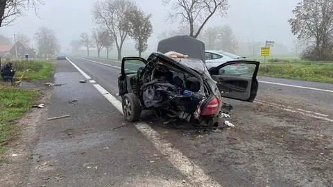 Auto uderzyło w drzewo