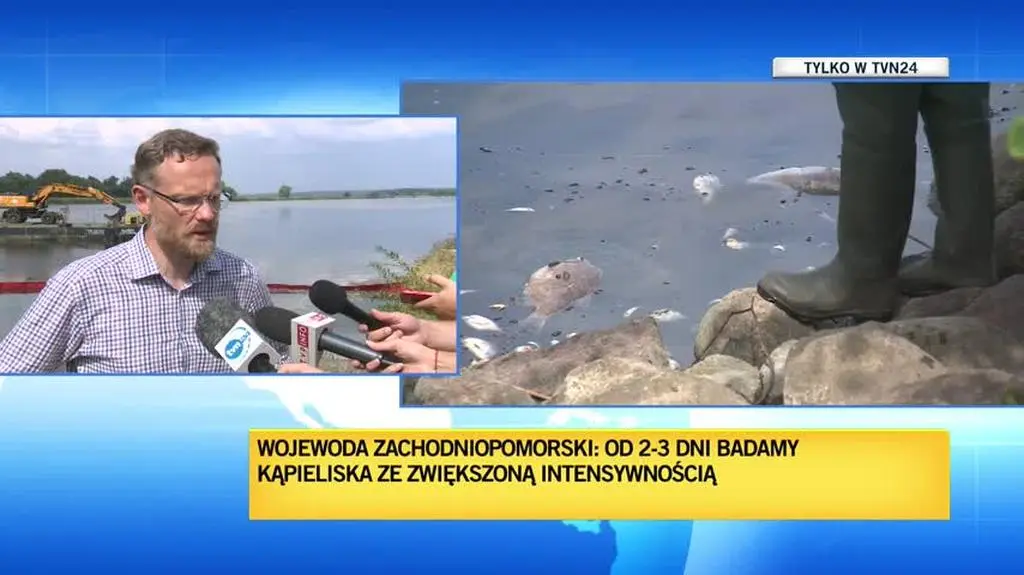 wojewoda2