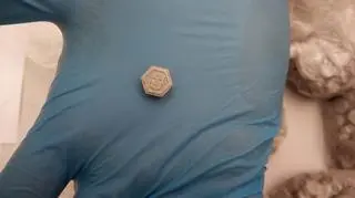 Teraz diler odpowie przed sądem