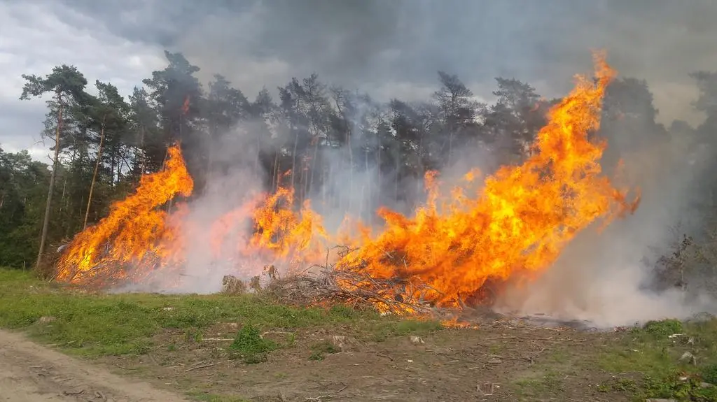 Pożar gasiło 48 strażaków