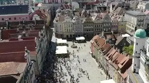 Koziołki przypominają