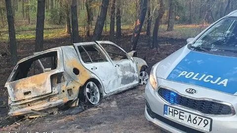 Uderzył w drzewo i uciekł. Od płonącego auta zajął się las