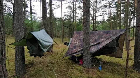 W lesie nie zaśniesz legalnie? Tu nie dostaniesz mandatu 