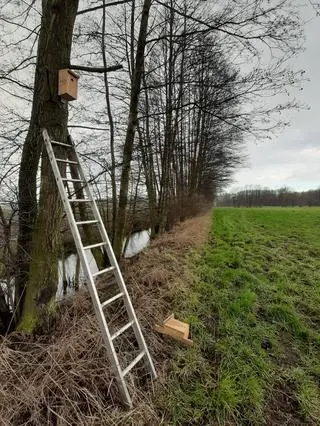Na polach pojawili się nowi lokatorzy