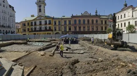 Widok ogólny na teren wykopalisk