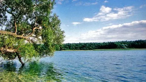 Rejs zakończony tragedią. Wskoczył z jachtu do wody i już nie wypłynął