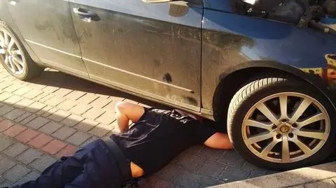 "Kot utknął pod maską samochodu i przeraźliwie miauczy". Interweniowała policja