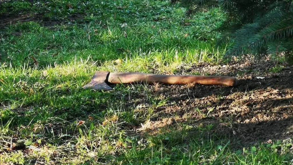 Sprawca zaatakował siekierą 