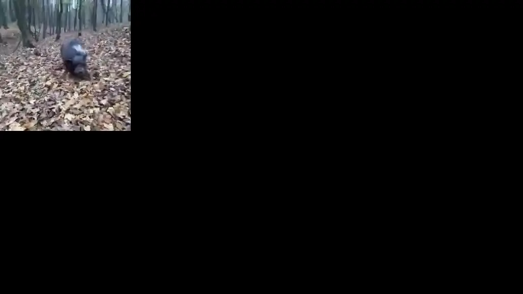 312955645_680453243643105_4405075120975393030_n