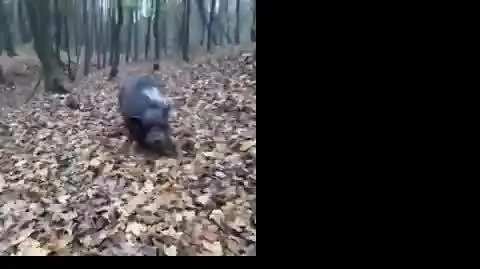 312955645_680453243643105_4405075120975393030_n