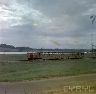 Maltanka nad brzegiem jeziora (1973 r.)