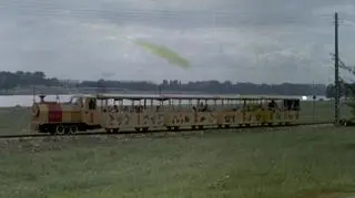 Maltanka nad brzegiem jeziora (1973 r.)