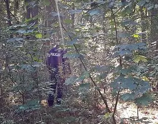 Podczas grzybobrania doznała urazu nogi, zabłądziła i spędziła noc w lesie. Kobietę uratowali policjanci