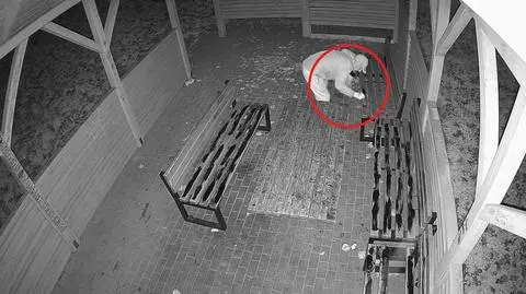 Pomazał farbą ławki, wszystko nagrały kamery. Szuka go policja