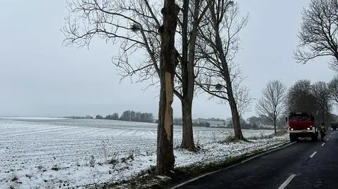 Armatohaubica zahaczyła o drzewo. Strażacy musieli je ściąć