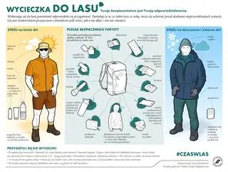 Co spakować na wyjście do lasu?